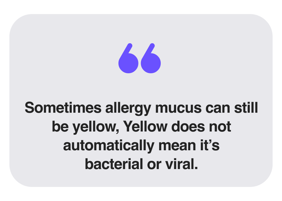 Seasonal allergy myths